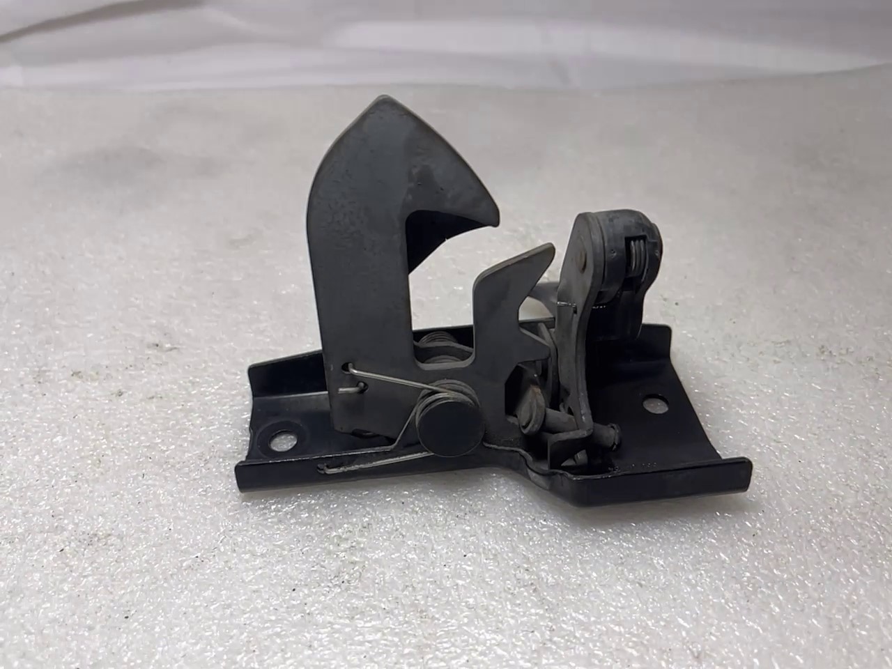 2022-05-13 142358.jpg